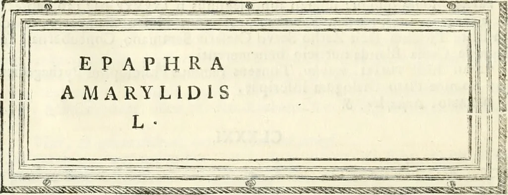 An illustration from Monumentum sive columbarium libertorum et servorum Liviae Augustae et Caesarum : Romae detectum in Via Appia, anno M.D.CC.XXVI., 1727, leaf 223