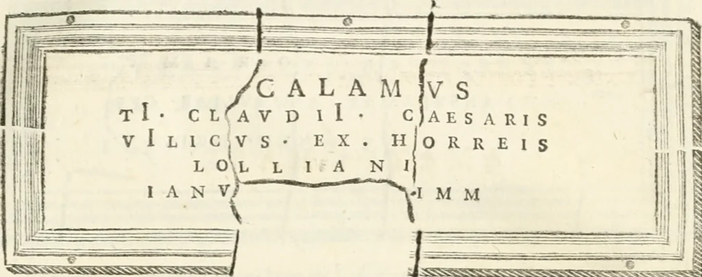 An illustration from Monumentum sive columbarium libertorum et servorum Liviae Augustae et Caesarum : Romae detectum in Via Appia, anno M.D.CC.XXVI., 1727, leaf 226