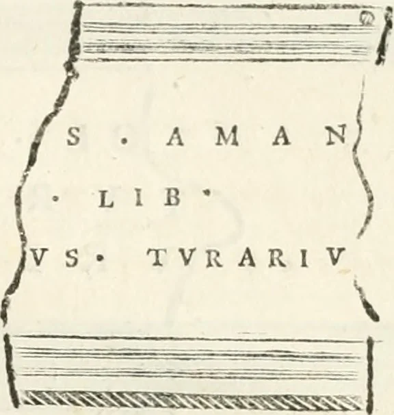 An illustration from Monumentum sive columbarium libertorum et servorum Liviae Augustae et Caesarum : Romae detectum in Via Appia, anno M.D.CC.XXVI., 1727, leaf 232