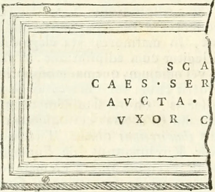 An illustration from Monumentum sive columbarium libertorum et servorum Liviae Augustae et Caesarum : Romae detectum in Via Appia, anno M.D.CC.XXVI., 1727, leaf 233