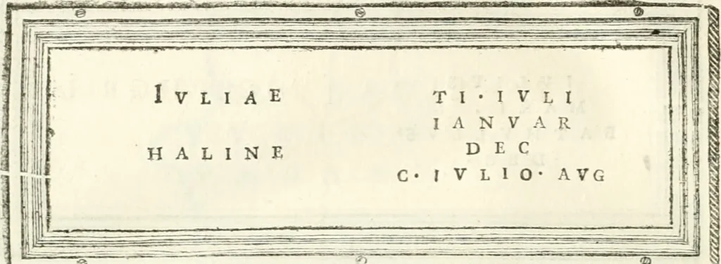 An illustration from Monumentum sive columbarium libertorum et servorum Liviae Augustae et Caesarum : Romae detectum in Via Appia, anno M.D.CC.XXVI., 1727, leaf 235