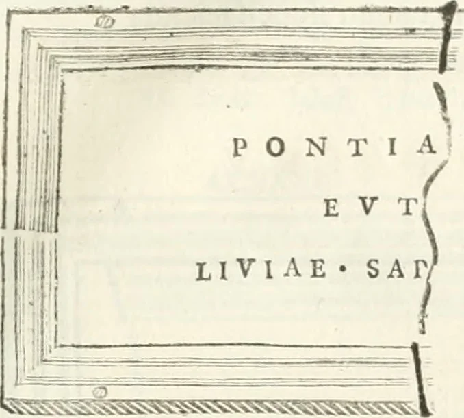 An illustration from Monumentum sive columbarium libertorum et servorum Liviae Augustae et Caesarum : Romae detectum in Via Appia, anno M.D.CC.XXVI., 1727, leaf 238
