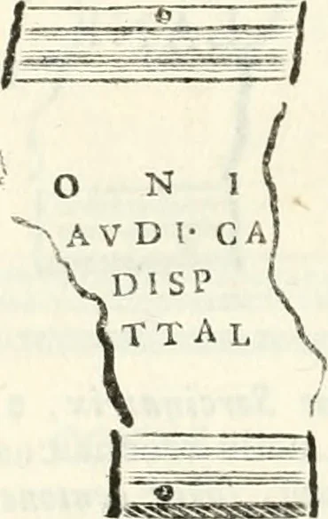 An illustration from Monumentum sive columbarium libertorum et servorum Liviae Augustae et Caesarum : Romae detectum in Via Appia, anno M.D.CC.XXVI., 1727, leaf 239