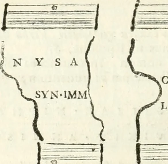 An illustration from Monumentum sive columbarium libertorum et servorum Liviae Augustae et Caesarum : Romae detectum in Via Appia, anno M.D.CC.XXVI., 1727, leaf 241