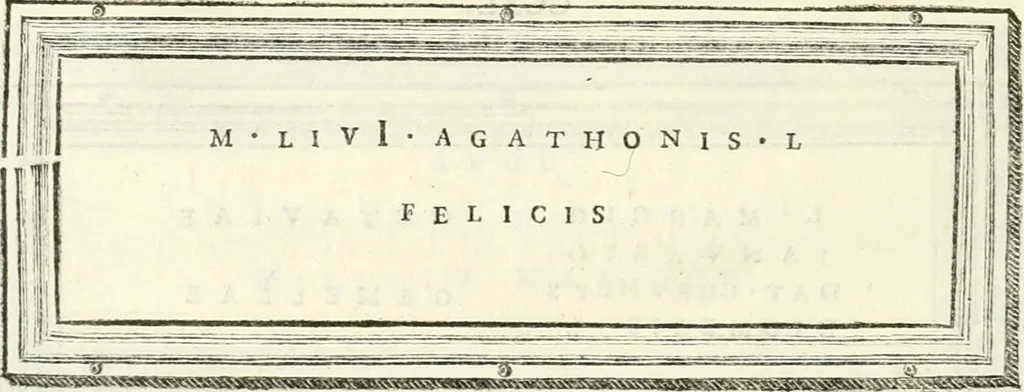 An illustration from Monumentum sive columbarium libertorum et servorum Liviae Augustae et Caesarum : Romae detectum in Via Appia, anno M.D.CC.XXVI., 1727, leaf 243