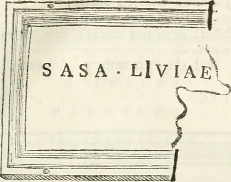 An illustration from Monumentum sive columbarium libertorum et servorum Liviae Augustae et Caesarum : Romae detectum in Via Appia, anno M.D.CC.XXVI., 1727, leaf 244