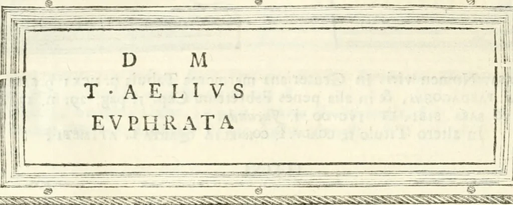 An illustration from Monumentum sive columbarium libertorum et servorum Liviae Augustae et Caesarum : Romae detectum in Via Appia, anno M.D.CC.XXVI., 1727, leaf 245