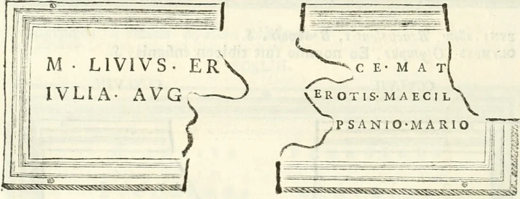 An illustration from Monumentum sive columbarium libertorum et servorum Liviae Augustae et Caesarum : Romae detectum in Via Appia, anno M.D.CC.XXVI., 1727, leaf 245