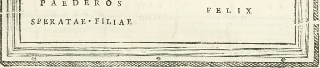 An illustration from Monumentum sive columbarium libertorum et servorum Liviae Augustae et Caesarum : Romae detectum in Via Appia, anno M.D.CC.XXVI., 1727, leaf 246