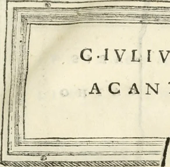 An illustration from Monumentum sive columbarium libertorum et servorum Liviae Augustae et Caesarum : Romae detectum in Via Appia, anno M.D.CC.XXVI., 1727, leaf 248