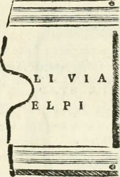 An illustration from Monumentum sive columbarium libertorum et servorum Liviae Augustae et Caesarum : Romae detectum in Via Appia, anno M.D.CC.XXVI., 1727, leaf 250
