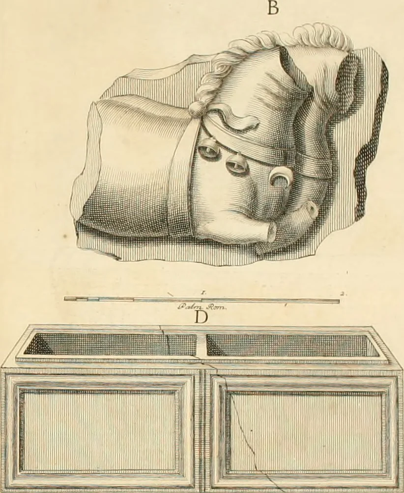 An illustration from Monumentum sive columbarium libertorum et servorum Liviae Augustae et Caesarum : Romae detectum in Via Appia, anno M.D.CC.XXVI., 1727, leaf 315