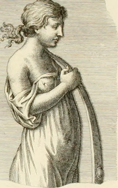 An illustration from Monumentum sive columbarium libertorum et servorum Liviae Augustae et Caesarum : Romae detectum in Via Appia, anno M.D.CC.XXVI., 1727, leaf 327
