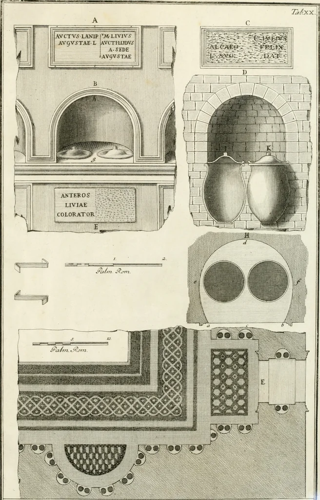 An illustration from Monumentum sive columbarium libertorum et servorum Liviae Augustae et Caesarum : Romae detectum in Via Appia, anno M.D.CC.XXVI., 1727, leaf 332