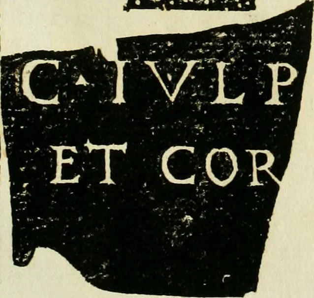 An illustration from Monvmenta antiqva vrbis et agri Brixiani, 1564, leaf 20