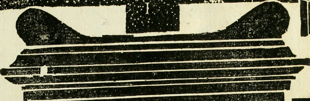 An illustration from Monvmenta antiqva vrbis et agri Brixiani, 1564, leaf 6