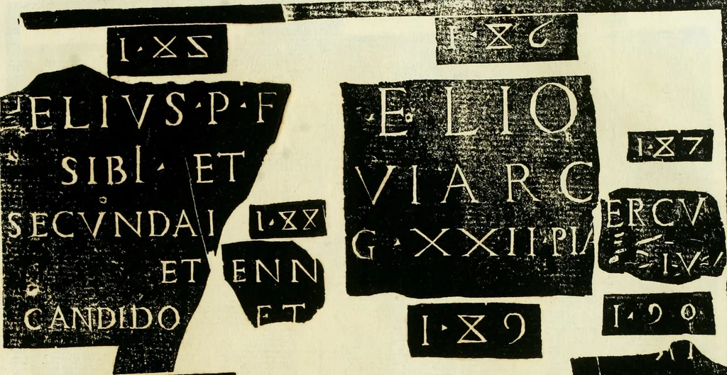 An illustration from Monvmenta antiqva vrbis et agri Brixiani, 1564, leaf 62