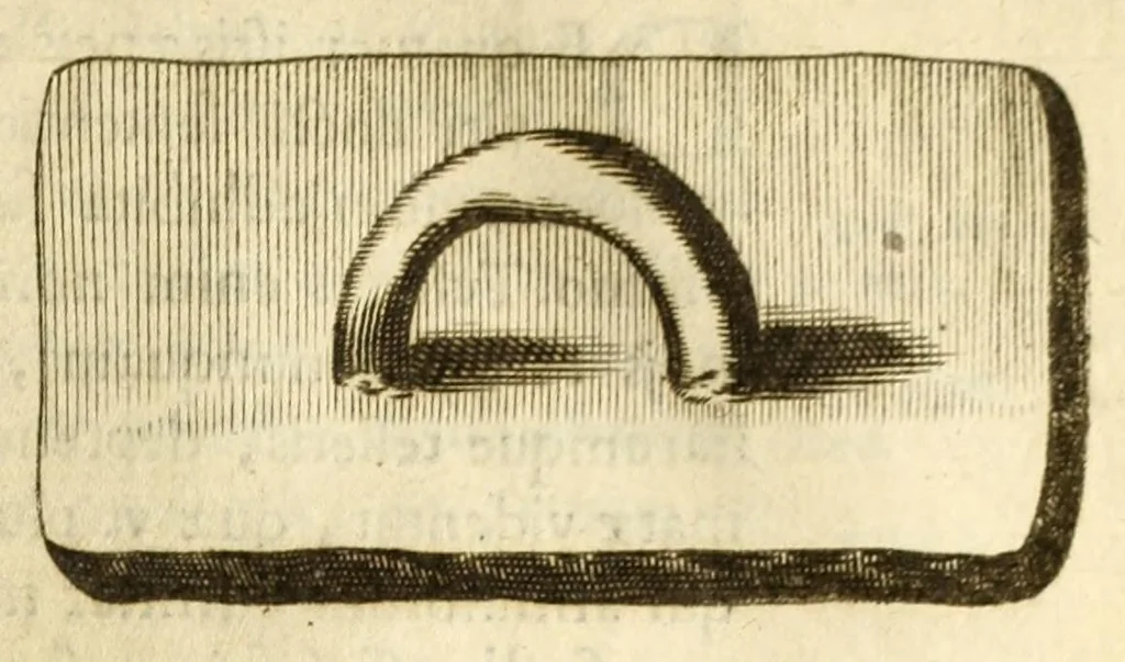 An illustration from Monvmenta patavina Sertorii Vrsati stvdio collecta, digesta, explicata, suisque iconibus expressa ., 1652, leaf 193