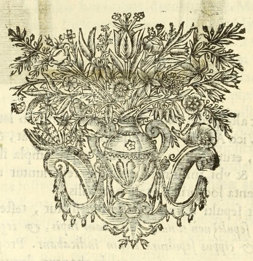 An illustration from Monvmenta patavina Sertorii Vrsati stvdio collecta, digesta, explicata, suisque iconibus expressa ., 1652, leaf 198