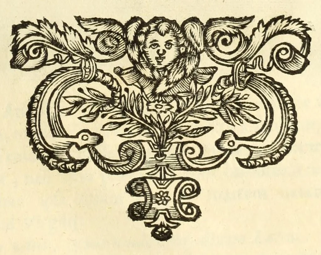 An illustration from Monvmenta patavina Sertorii Vrsati stvdio collecta, digesta, explicata, suisque iconibus expressa ., 1652, leaf 201