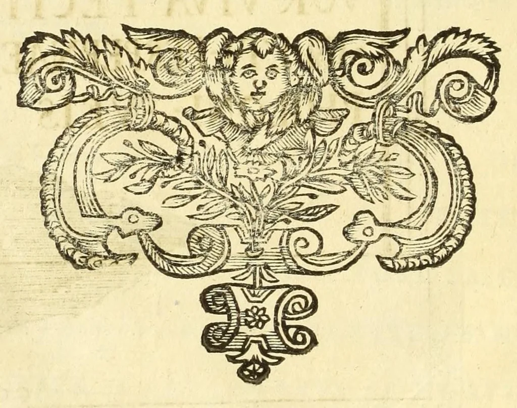 An illustration from Monvmenta patavina Sertorii Vrsati stvdio collecta, digesta, explicata, suisque iconibus expressa ., 1652, leaf 208