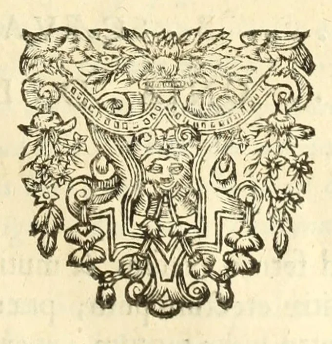 An illustration from Monvmenta patavina Sertorii Vrsati stvdio collecta, digesta, explicata, suisque iconibus expressa ., 1652, leaf 229