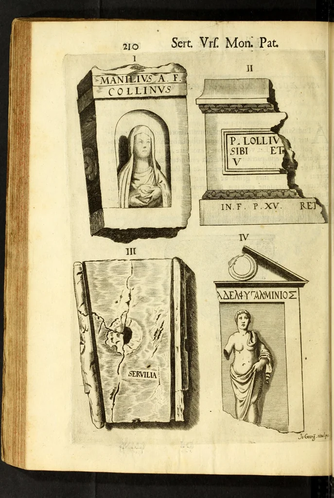 An illustration from Monvmenta patavina Sertorii Vrsati stvdio collecta, digesta, explicata, suisque iconibus expressa ., 1652, leaf 234