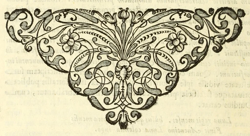 An illustration from Monvmenta patavina Sertorii Vrsati stvdio collecta, digesta, explicata, suisque iconibus expressa ., 1652, leaf 252
