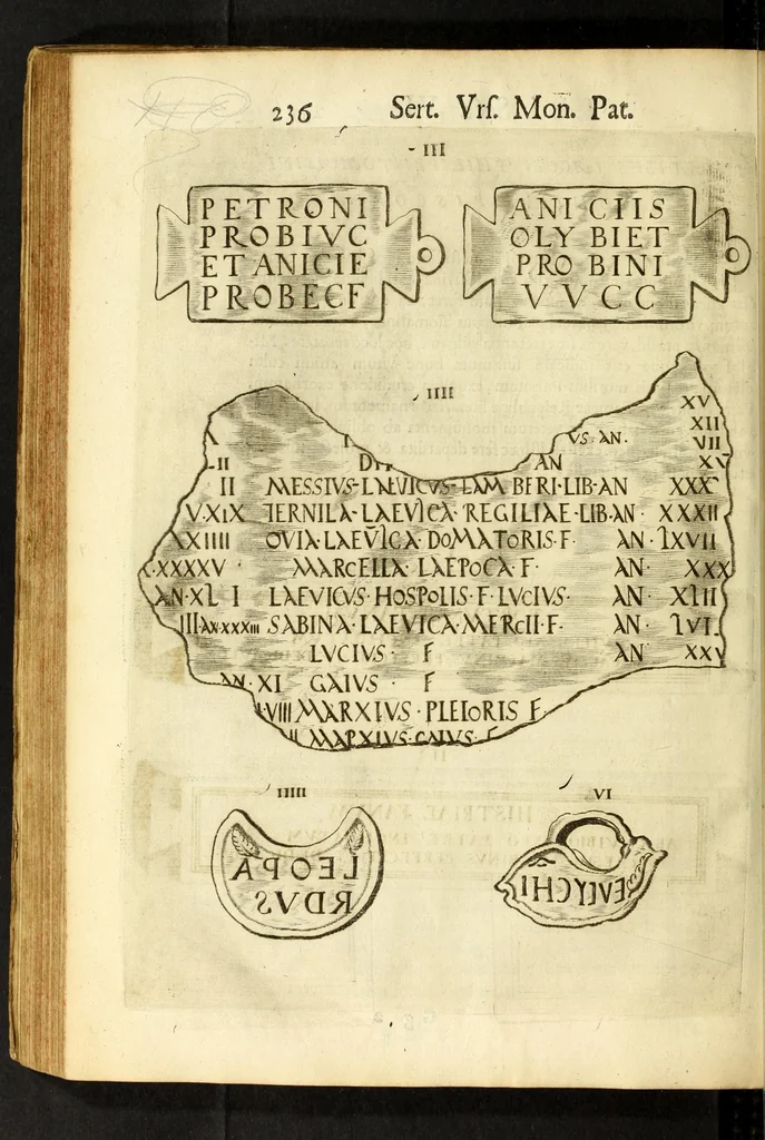 An illustration from Monvmenta patavina Sertorii Vrsati stvdio collecta, digesta, explicata, suisque iconibus expressa ., 1652, leaf 260