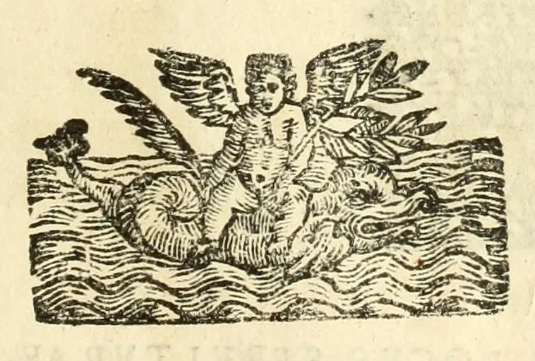 An illustration from Monvmenta patavina Sertorii Vrsati stvdio collecta, digesta, explicata, suisque iconibus expressa ., 1652, leaf 305