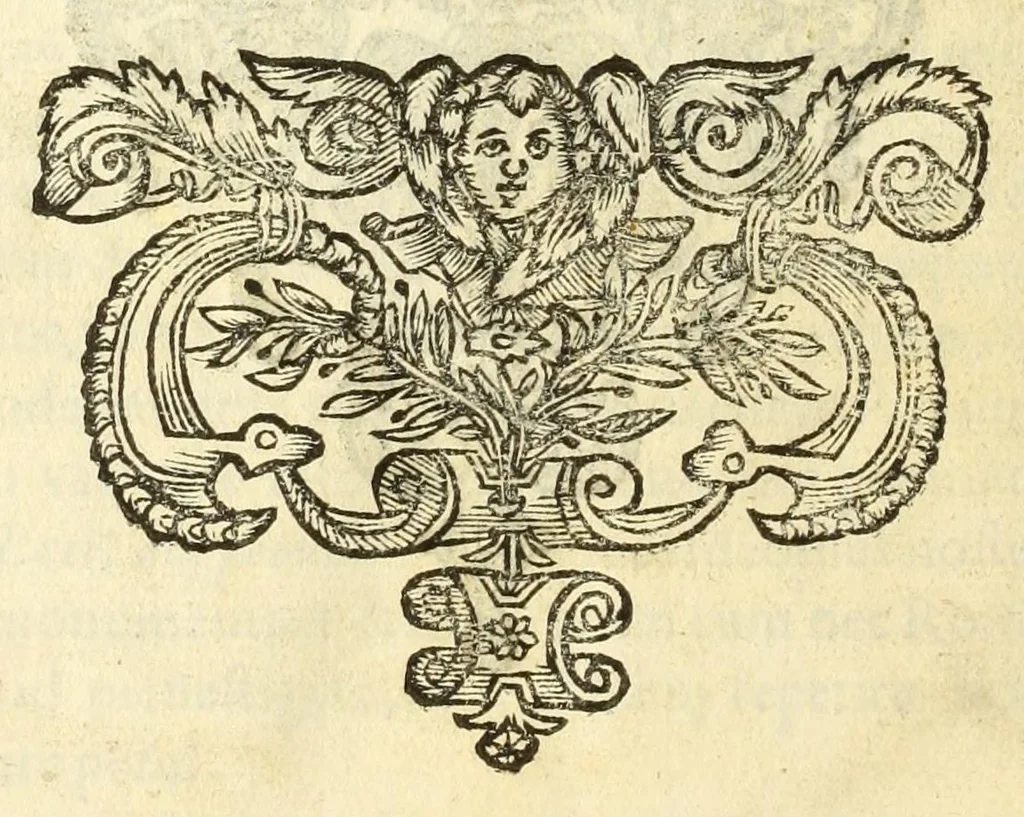 An illustration from Monvmenta patavina Sertorii Vrsati stvdio collecta, digesta, explicata, suisque iconibus expressa ., 1652, leaf 362