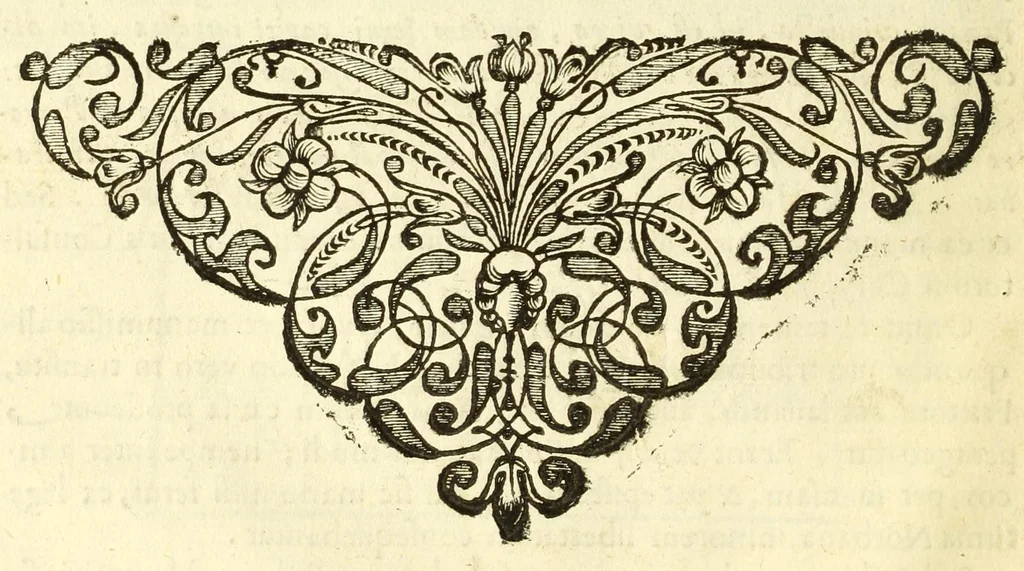 An illustration from Monvmenta patavina Sertorii Vrsati stvdio collecta, digesta, explicata, suisque iconibus expressa ., 1652, leaf 62
