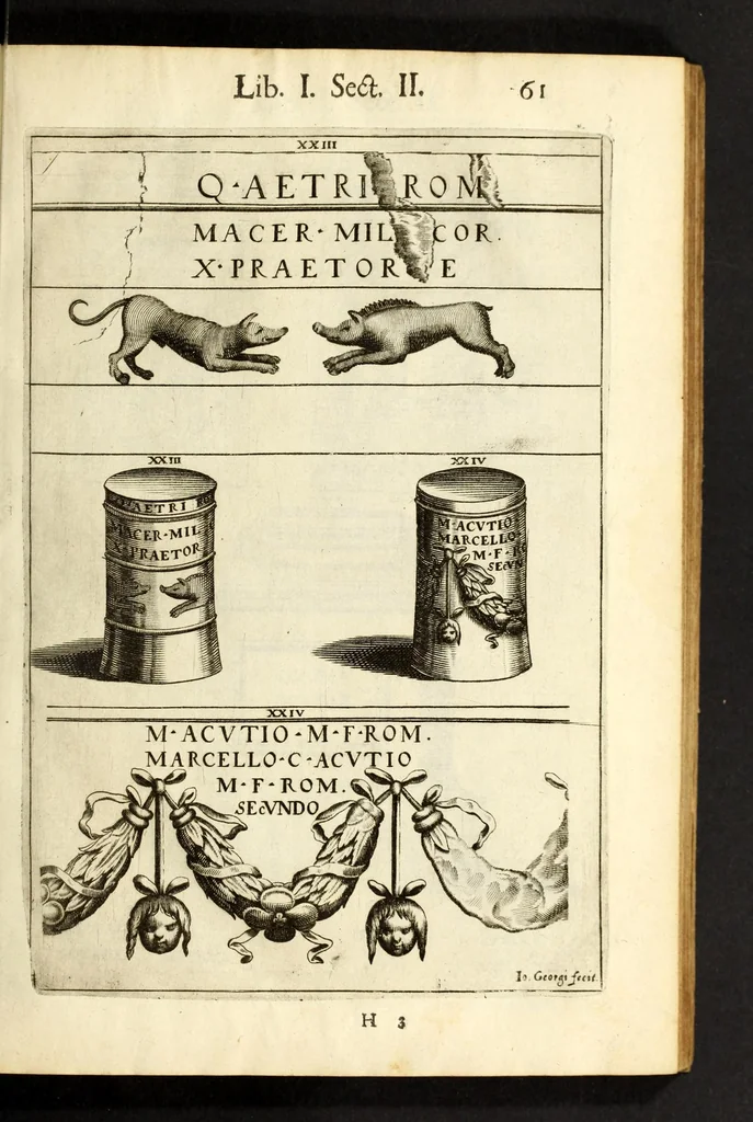 An illustration from Monvmenta patavina Sertorii Vrsati stvdio collecta, digesta, explicata, suisque iconibus expressa ., 1652, leaf 83