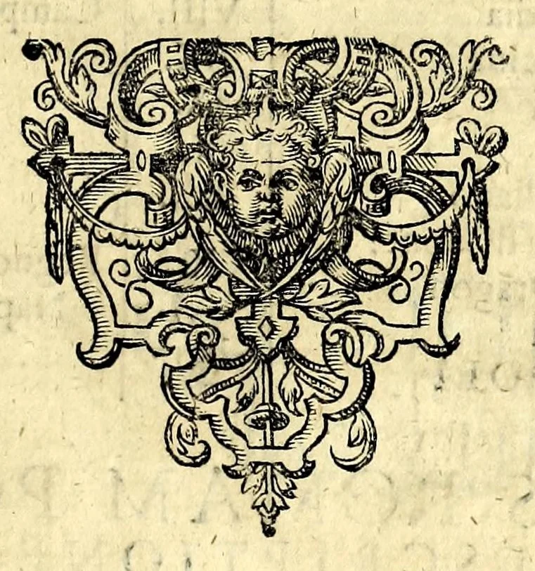 An illustration from Monvmentorvm Italiae, quae hoc nostro saeculo & a Christianis posita sunt libri qvatvor, 1592, leaf 219