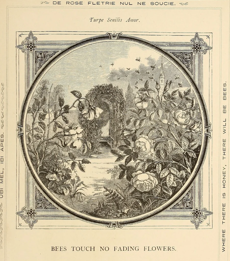 An illustration from Moral emblems, with aphorisms, adages, and proverbs, of all ages and nations, 1862, leaf 118