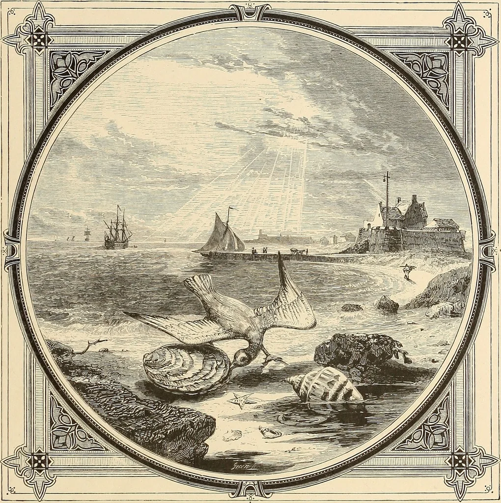 An illustration from Moral emblems, with aphorisms, adages, and proverbs, of all ages and nations, 1862, leaf 98