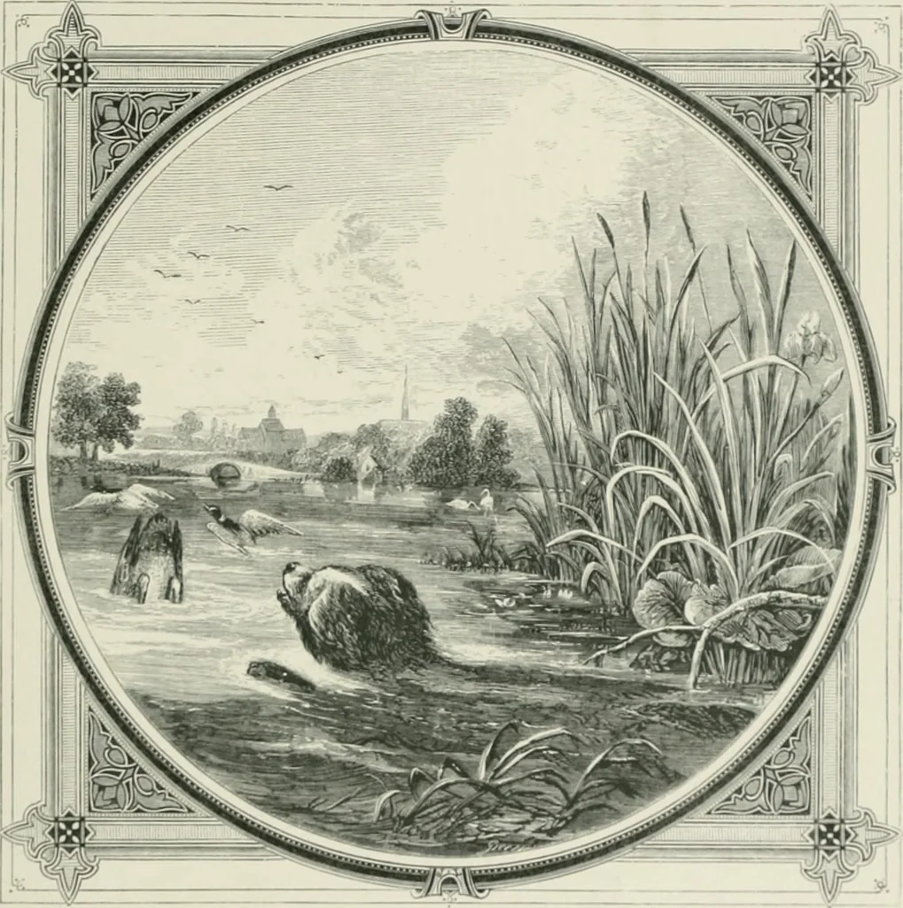 An illustration from Moral emblems : with aphorisms, adages, and proverbs, of all ages and nations, from Jacob Cats and Robert Farlie : with illustrations freely rendered, from designs found in their works, 1860, leaf 88