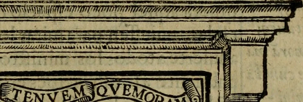 An illustration from Emblemas morales de don Ivan de Horozco y Couarruuias.., 1589, leaf 352