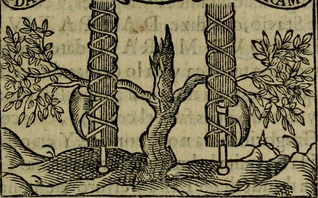 An illustration from Emblemas morales de don Ivan de Horozco y Couarruuias.., 1589, leaf 352