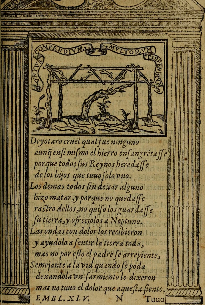 An illustration from Emblemas morales de don Ivan de Horozco y Couarruuias.., 1589, leaf 404