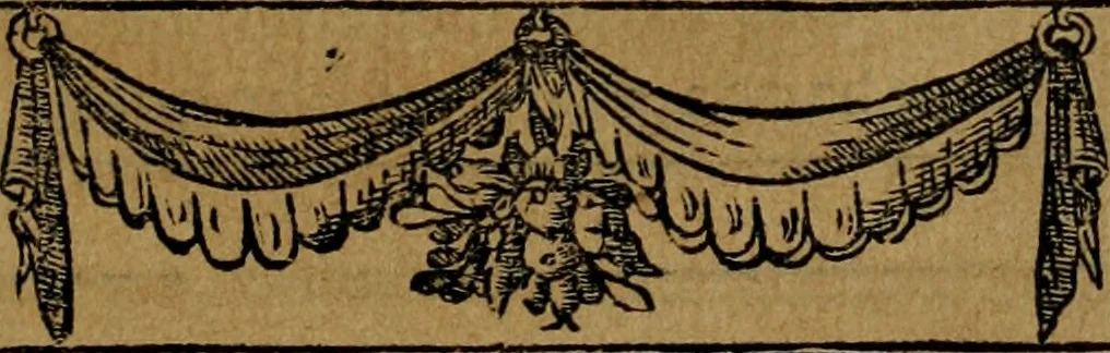 An illustration from Emblemas morales de don Ivan de Horozco y Couarruuias.., 1589, leaf 460