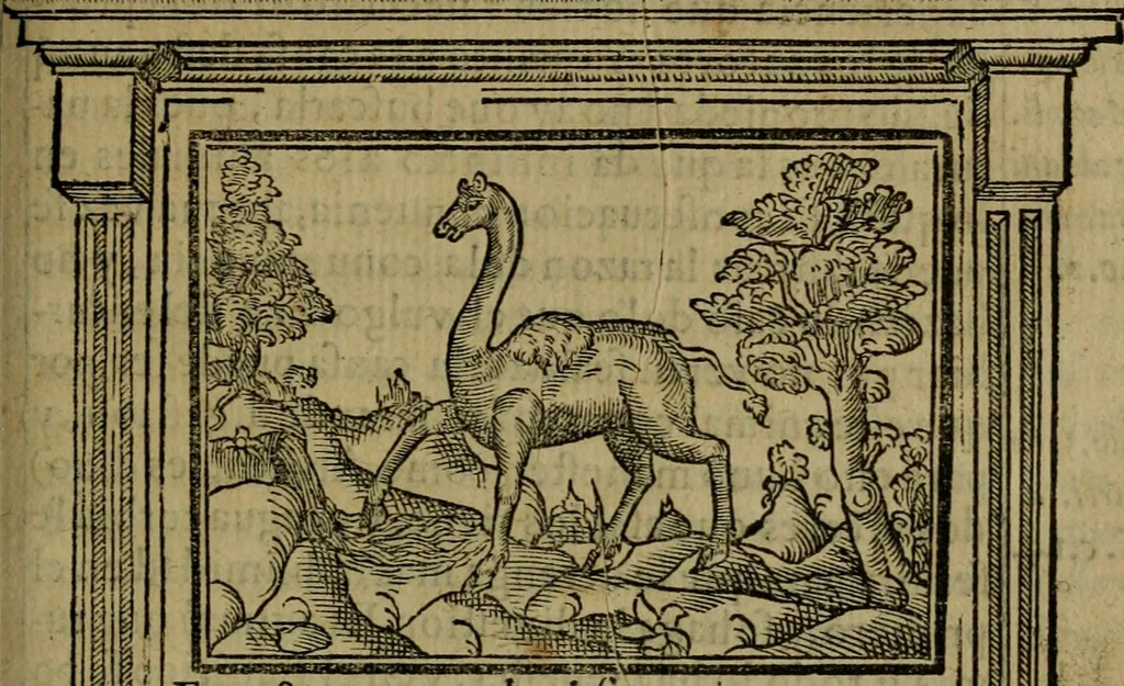 An illustration from Emblemas morales de don Ivan de Horozco y Couarruuias.., 1589, leaf 480