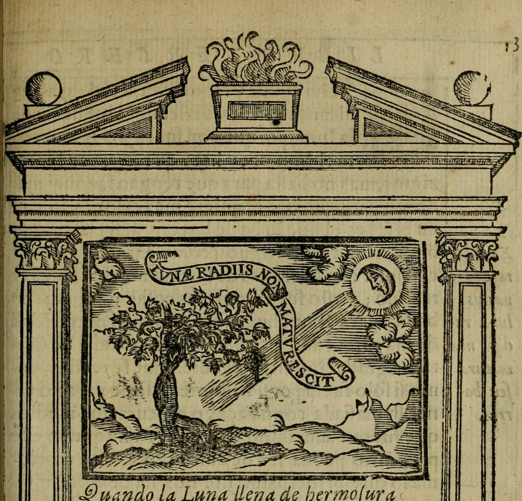 An illustration from Emblemas morales de don Ivan de Horozco y Couarruuias.., 1589, leaf 488