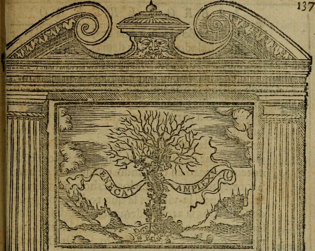 An illustration from Emblemas morales de don Ivan de Horozco y Couarruuias.., 1589, leaf 500