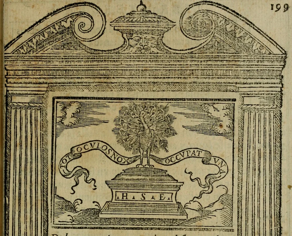 An illustration from Emblemas morales de don Ivan de Horozco y Couarruuias.., 1589, leaf 624