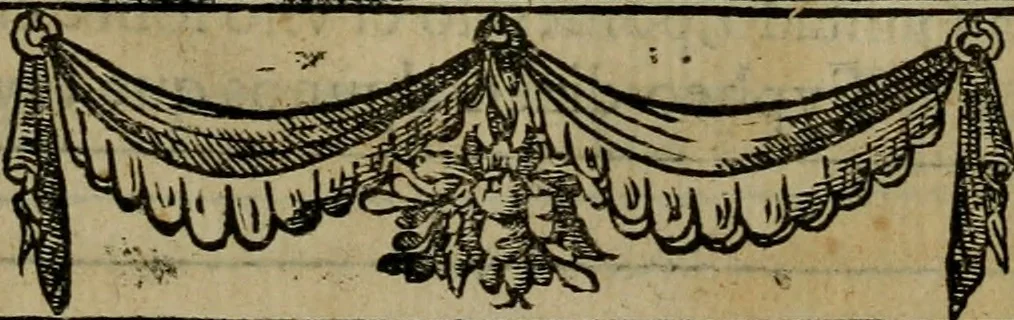 An illustration from Emblemas morales de don Ivan de Horozco y Couarruuias.., 1589, leaf 628