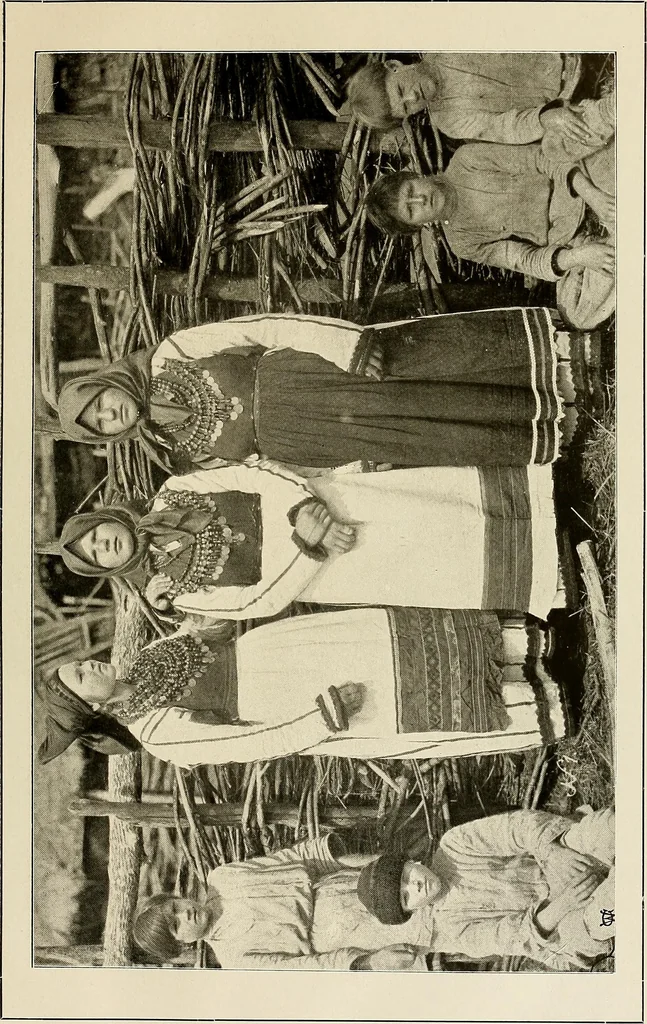 An illustration from Mordvalaisten pukuja kuoseja. Trachten und Muster der Mordvinen, 1896, leaf 520