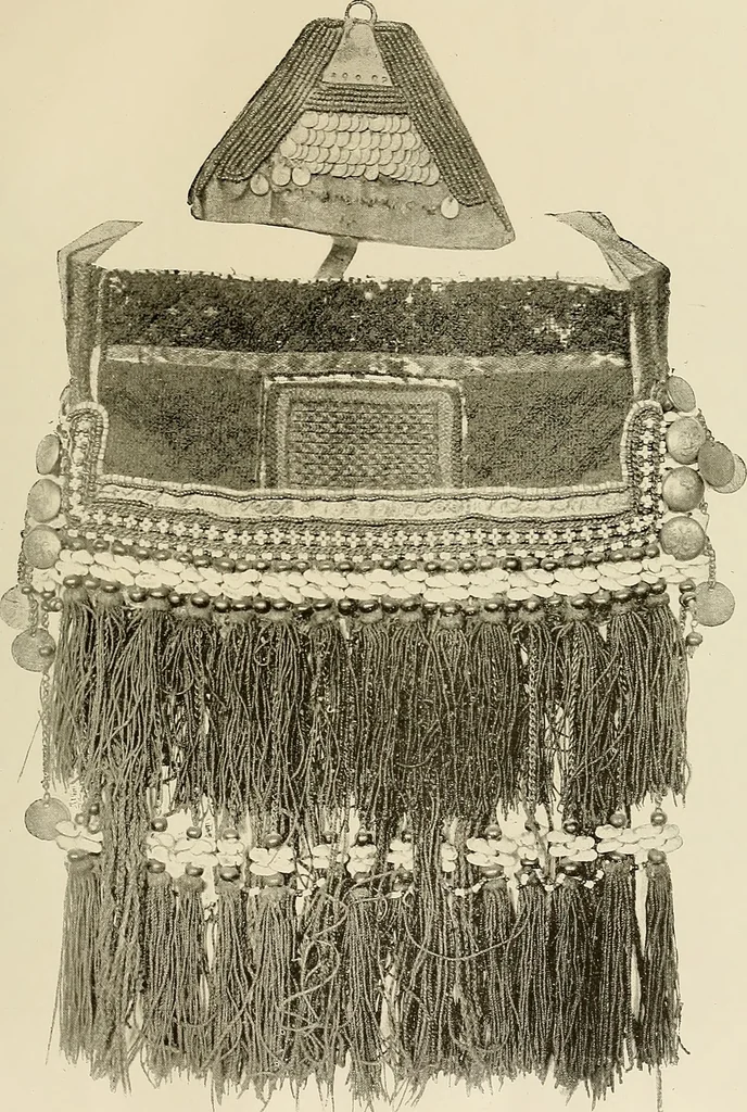 An illustration from Mordvalaisten pukuja kuoseja. Trachten und Muster der Mordvinen, 1896, leaf 556