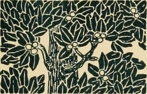 An illustration from More famous homes of Great Britain and their stories, 1902, leaf 12