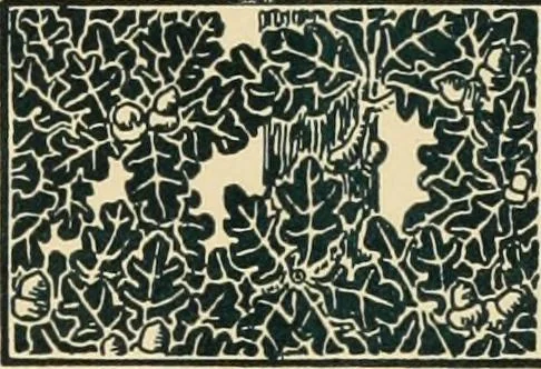 An illustration from More famous homes of Great Britain and their stories, 1902, leaf 12